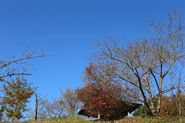a0242438_2022090.jpg