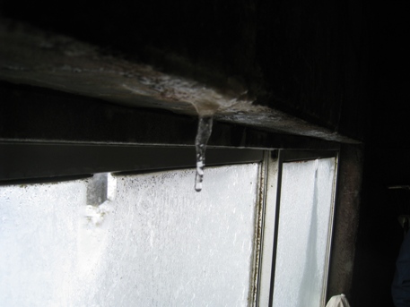 c0077338_5561471.jpg