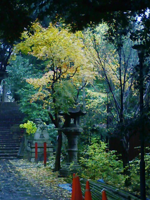 b0031140_23173836.jpg