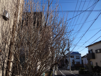 f0141840_21495117.jpg