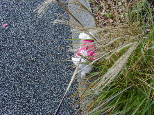 b0254548_21234050.jpg
