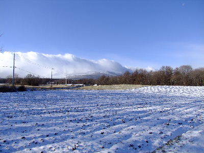 e0088260_21490721.jpg