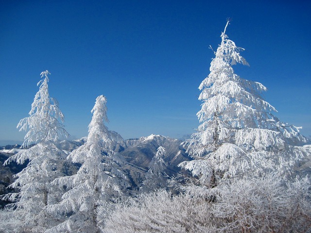 c0219866_10212255.jpg