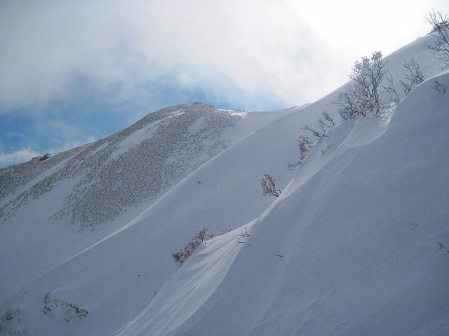 c0219866_10221392.jpg