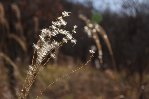 f0342371_016163.jpg
