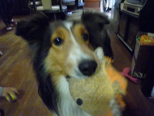 c0123890_20134015.jpg
