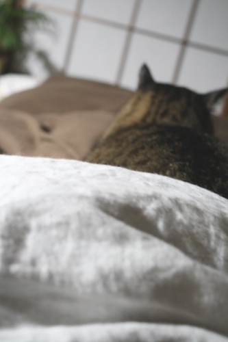 f0151592_20113176.jpg