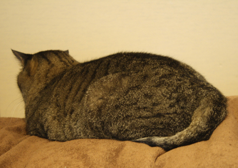 f0151592_2012021.jpg