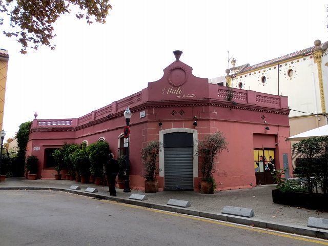 b0064411_05082975.jpg