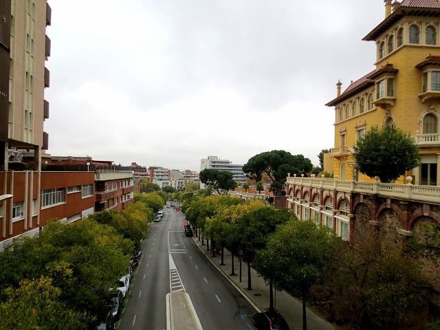 b0064411_05131280.jpg