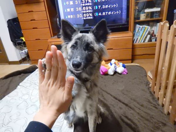 f0329311_1315977.jpg