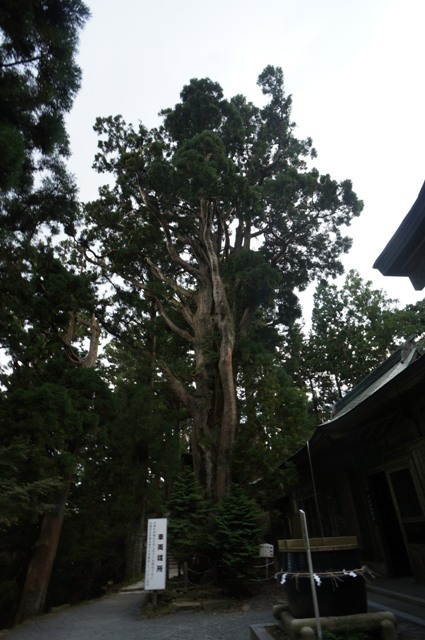 e0292414_20280070.jpg