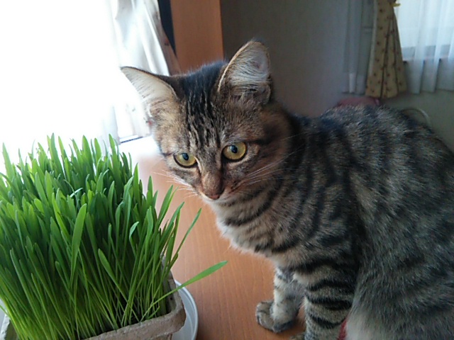 c0150520_2129890.jpg
