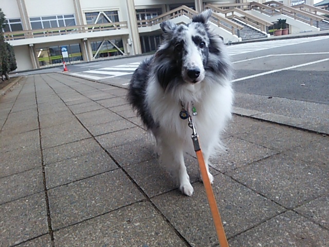 c0150520_21321569.jpg