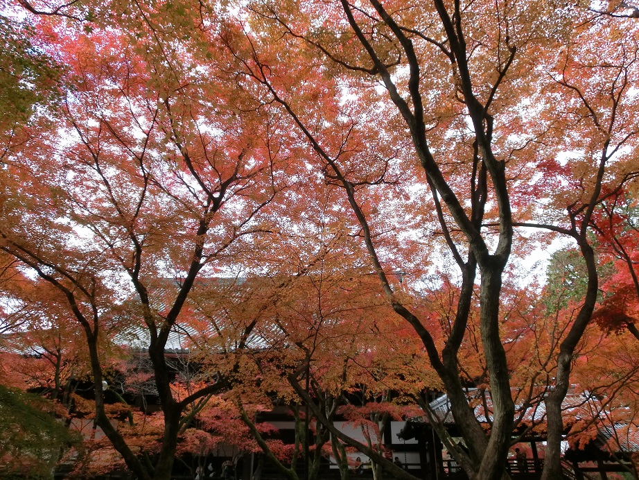 f0237037_1431372.jpg