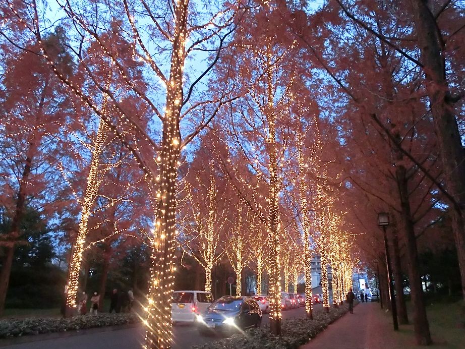 f0237037_14433511.jpg