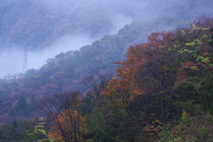 c0180845_0451656.jpg