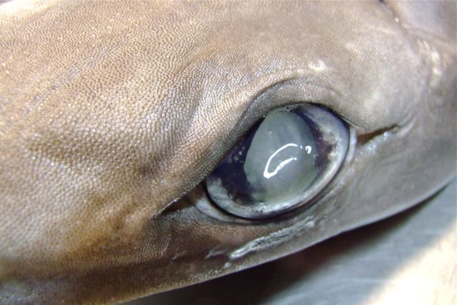 e0290546_14450237.jpg