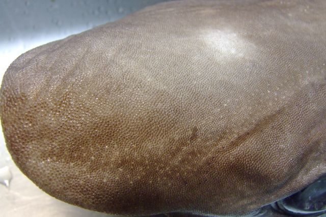 e0290546_14460067.jpg