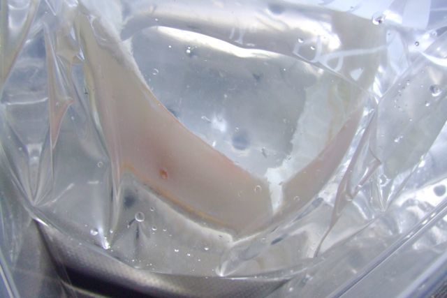 e0290546_15563563.jpg