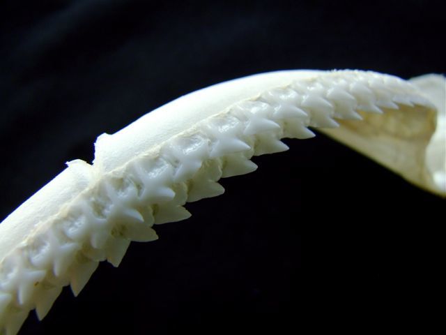e0290546_17075099.jpg