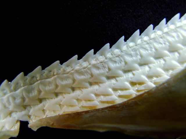 e0290546_17080365.jpg