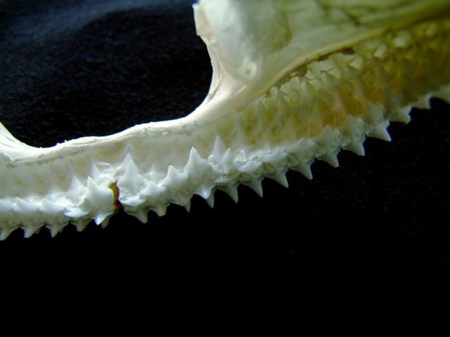 e0290546_17264998.jpg
