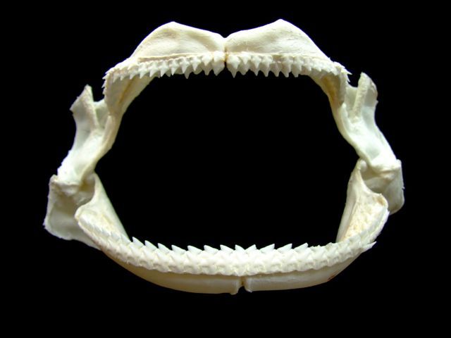 e0290546_17330378.jpg