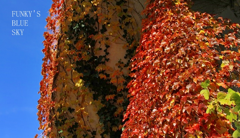 c0145250_14574441.jpg