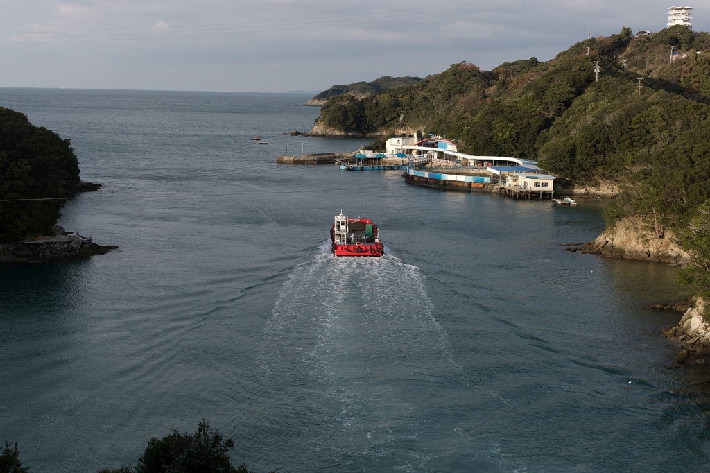 f0323351_17140430.jpg