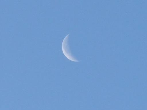 f0055956_7484966.jpg
