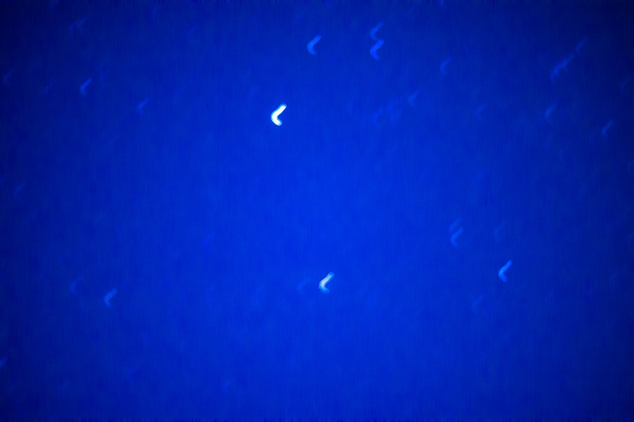 c0260264_19314947.jpg