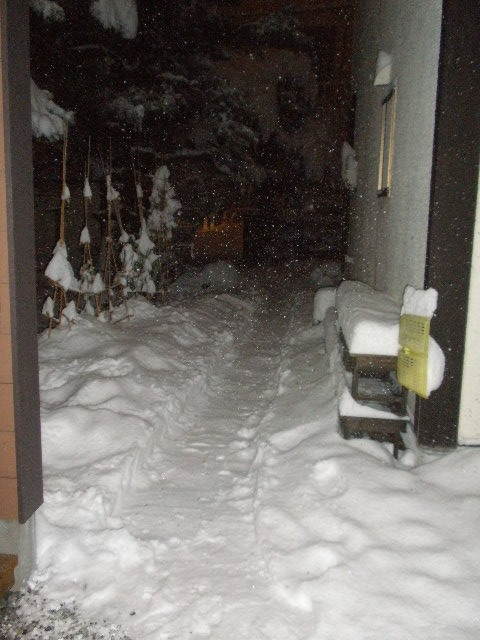 d0150967_084822.jpg