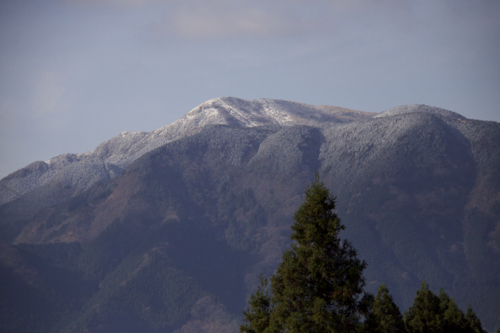 b0286869_17533076.jpg