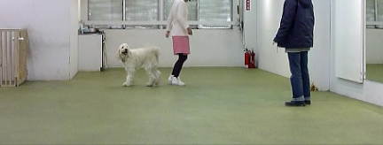 e0161972_810744.png