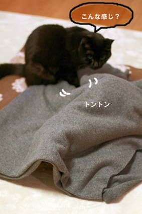 e0137277_033101.jpg