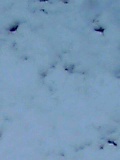 c0228378_16204832.jpg