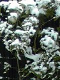 c0228378_1621174.jpg