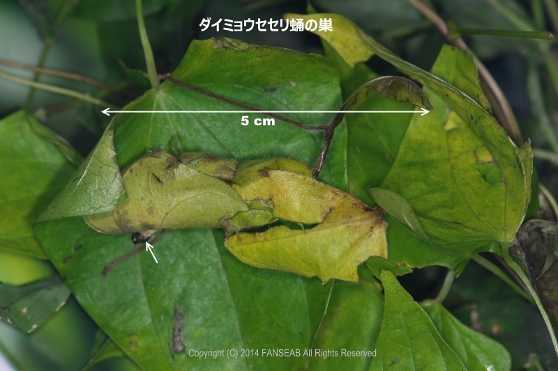 f0090680_21344120.jpg