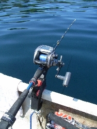 c0020984_01493899.jpg