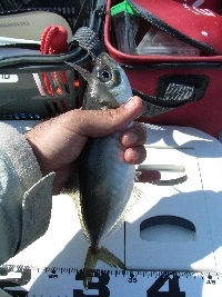 c0020984_01495216.jpg
