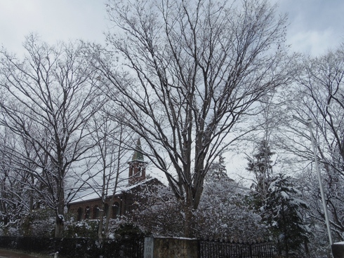a0034487_1435932.jpg