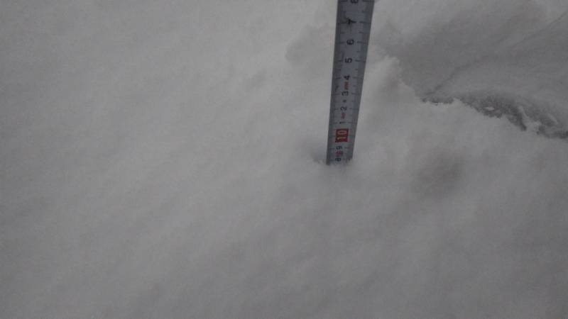 b0062687_9421517.jpg
