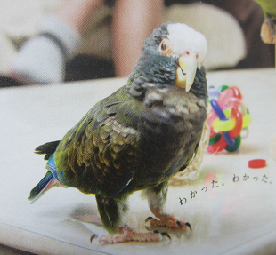 f0234590_9582042.png