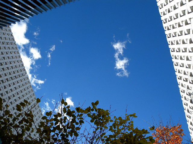 a0199297_19375593.jpg