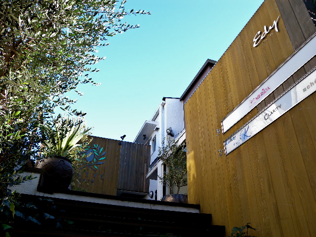 a0199297_1944275.jpg