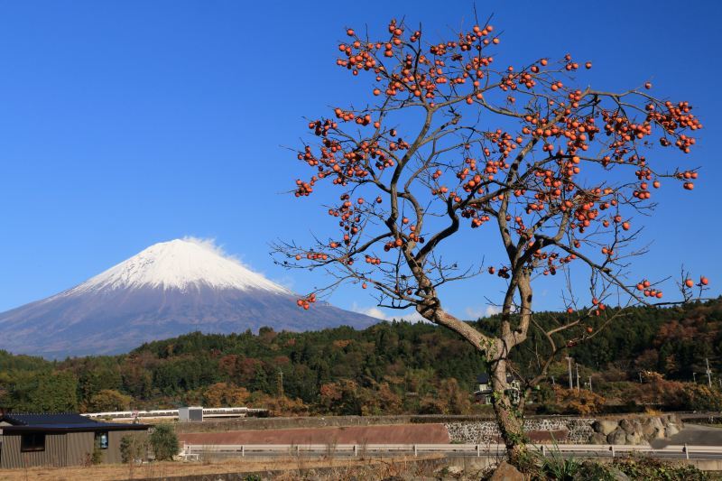 a0188405_08463390.jpg