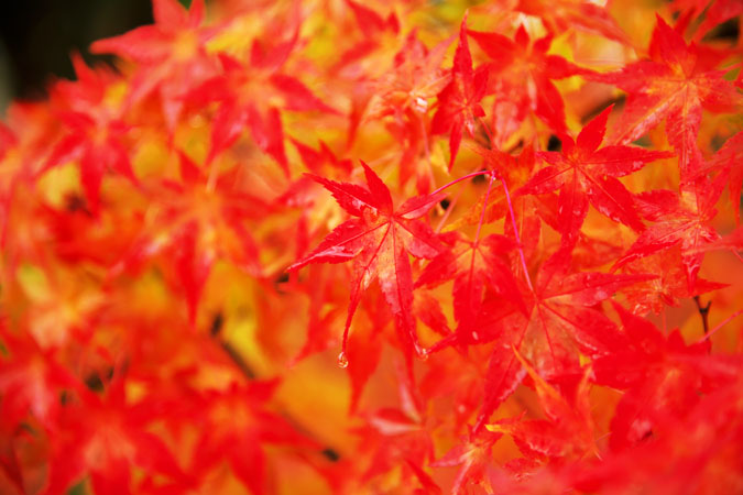 a0263109_13353067.jpg