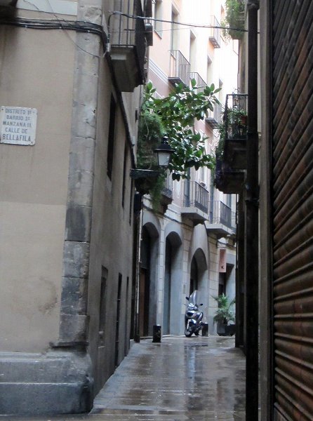 b0064411_06582391.jpg