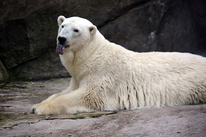 a0151913_135519.jpg